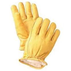 Driver Deerskin Thinsulate Gloves