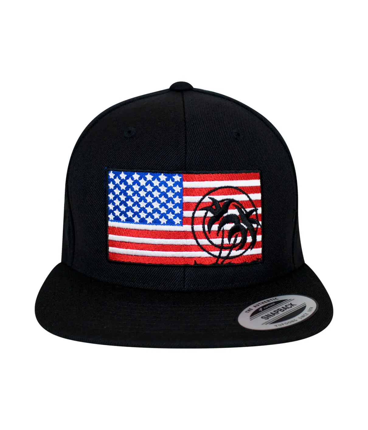 "Pride" Snapback Flag Hat