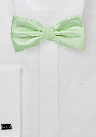 Water Mint Solid Bowtie